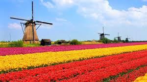 Geography Trivia Question: The Kingdom of the Netherlands consists of how many countries? Geography Trivia Question: The Kingdom of the Netherlands consists of how many countries?