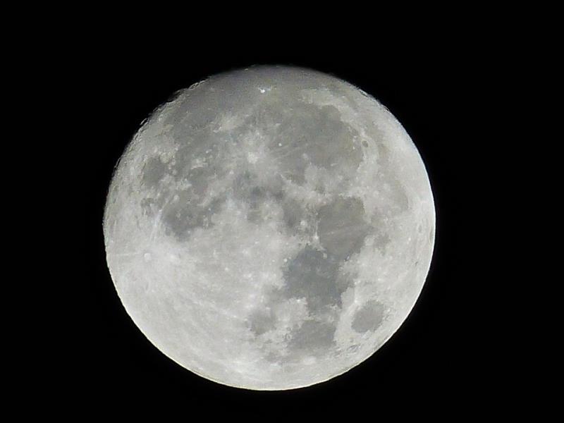 Which Is The Largest Moon In Our Trivia Questions