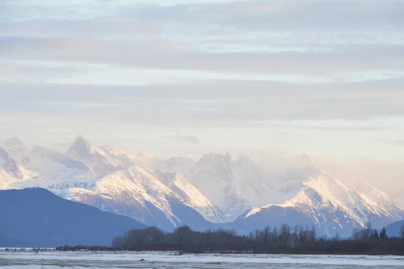 Which major league baseball player was born in Alaska?
