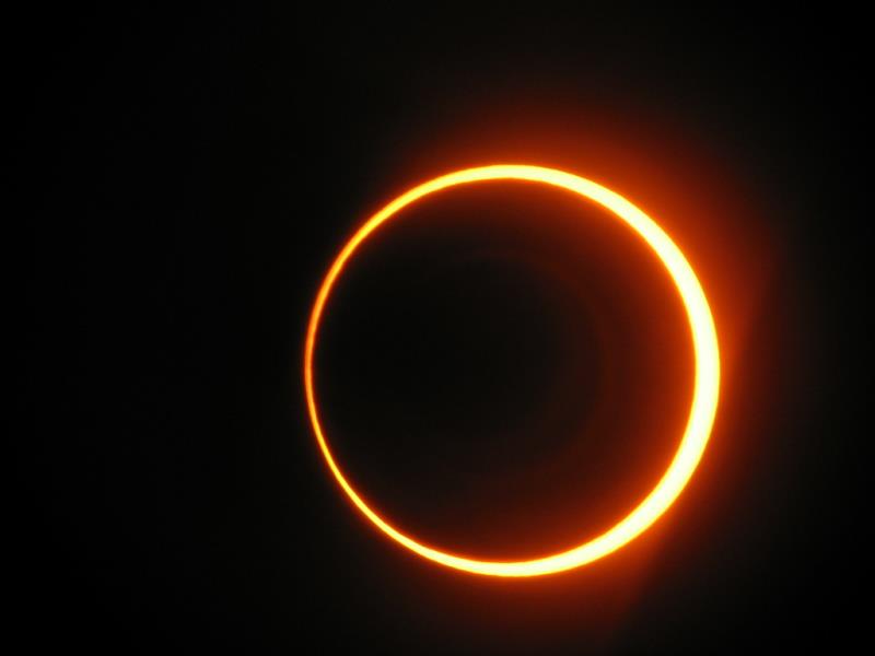 How many different types of eclipses are visible from the earth?