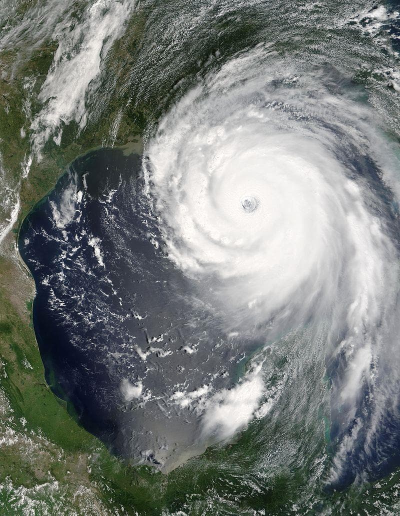 Society Trivia Question: How many people died as a result of Hurricane Katrina? Society Trivia Question: How many people died as a result of Hurricane Katrina?
