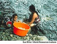 What approximate percentage of the Earth's water is accessible for human consumption at any given time?