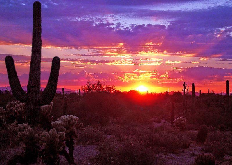 What are the "Phoenix Lights"? What are the "Phoenix Lights"?