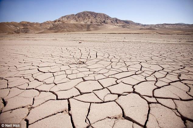 What is the driest non-polar desert on the planet?