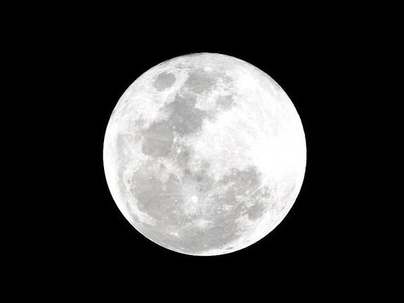 What item was not left on the moon by U.S. astronauts?
