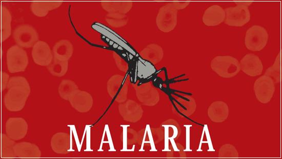 Culture Trivia Question: From which language do we get the word 'malaria'? Culture Trivia Question: From which language do we get the word 'malaria'?