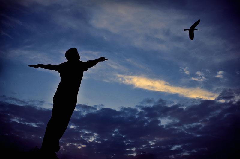 The only mammal naturally capable of true and sustained flight is: