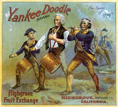 To the rest of Americans, the term 'Yankee' is used to describe someone from which part of the country?