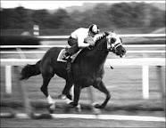 What American thoroughbred race horse won the Triple Crown in 1973?