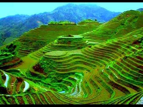Culture Trivia Question: What do you call 2,000-year-old terraces that were carved into the mountains of Ifugao in the Philippines? Culture Trivia Question: What do you call 2,000-year-old terraces that were carved into the mountains of Ifugao in the Philippines?