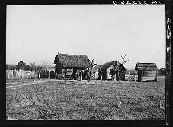 History Trivia Question: What does "40 acres and a mule" refer to? History Trivia Question: What does "40 acres and a mule" refer to?