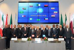 What does OPEC stand for?