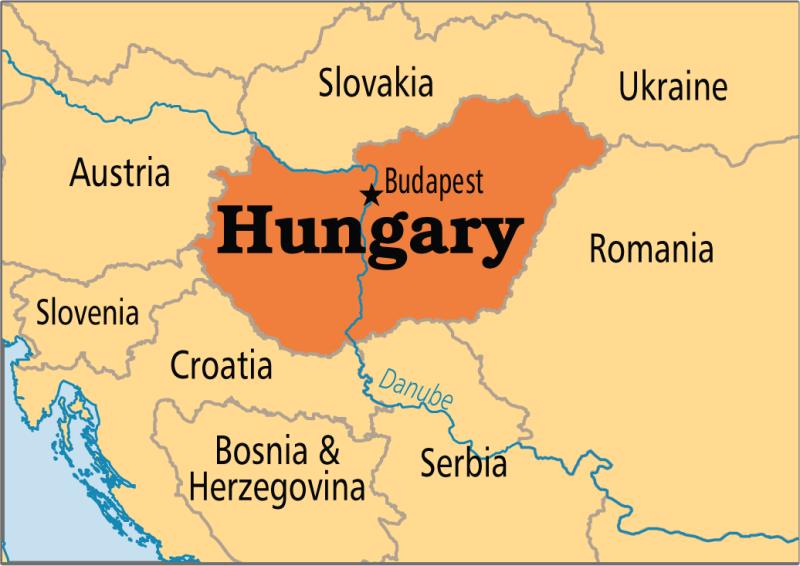 What family of languages does Hungarian (Magyar) belong to?