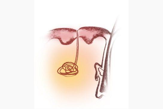 What part of the human body has the most sweat glands?