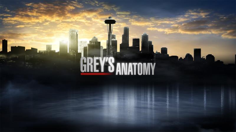 When did the TV show "Grey's Anatomy" premiere?