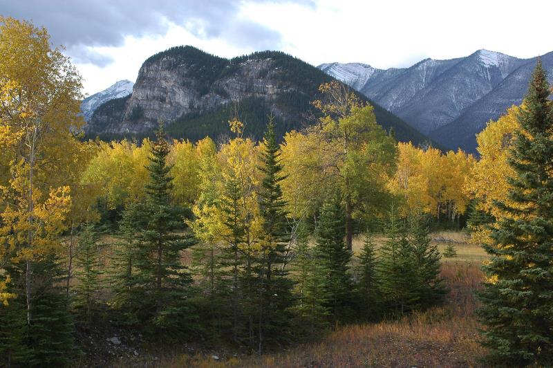 Geography Trivia Question: Which of the following is untrue about Tunnel Mountain in Alberta, Canada? Geography Trivia Question: Which of the following is untrue about Tunnel Mountain in Alberta, Canada?