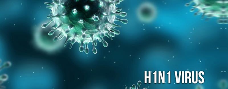 H1N1 virus is sometimes mentioned in the news with reference to which one of the following diseases ? H1N1 virus is sometimes mentioned in the news with reference to which one of the following diseases ?
