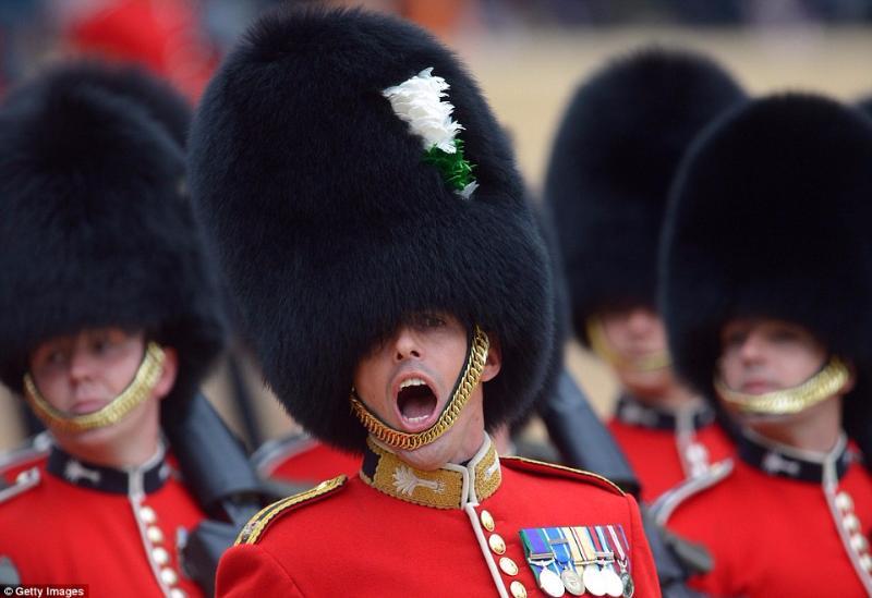 The picture shows a member of one of the infantry regiments of the Household Division of the British Army. From which of these four regiments?