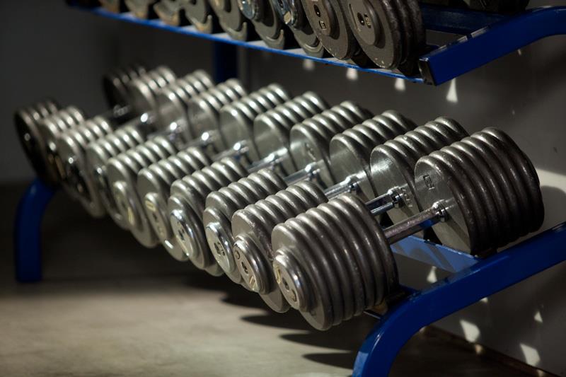 Nature Trivia Question: What animal has the most brute strength on Earth? Nature Trivia Question: What animal has the most brute strength on Earth?