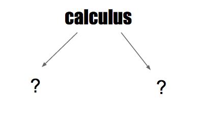 What are the two main branches of calculus? What are the two main branches of calculus?