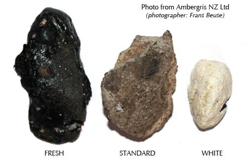 What is ambergris? What is ambergris?