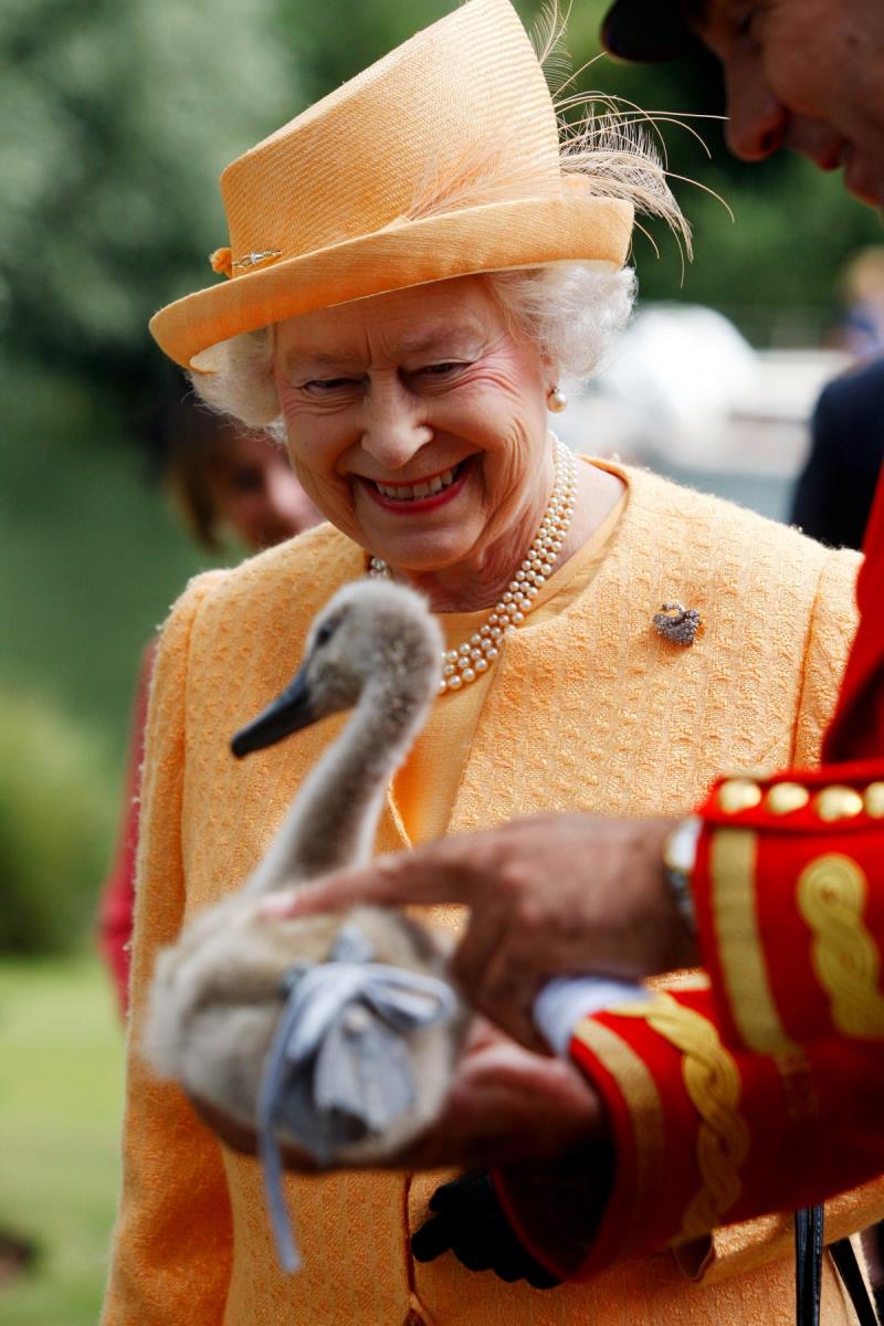 What is/are some perks of Queen Elizabeth ll of England? What is/are some perks of Queen Elizabeth ll of England?