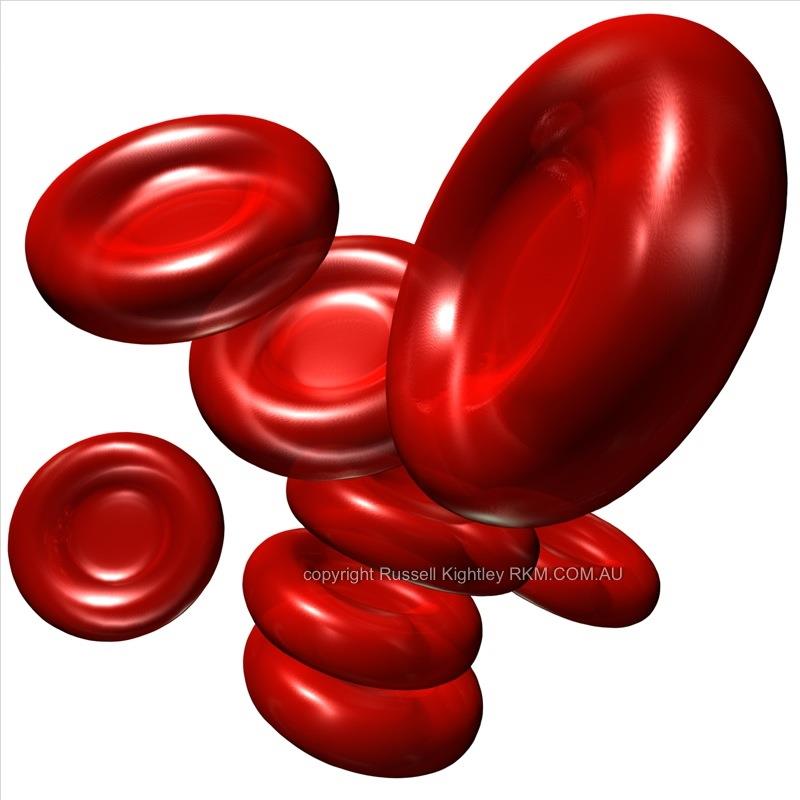 What morphologically abnormal red blood cell is associated with "hyperchromia"?