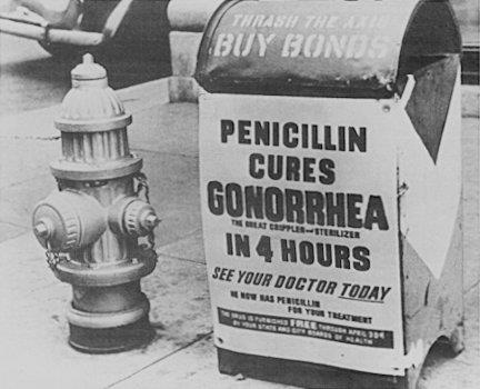 Who discovered penicillin?