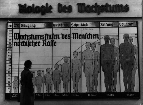 During WW2, which country segregated its armed forces along racial lines?