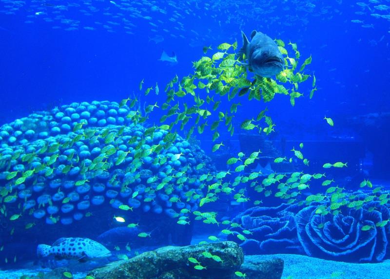 What is the largest aquarium in the world according to Guinness World Records? What is the largest aquarium in the world according to Guinness World Records?