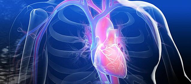 What is the name of the hospital where the first human heart transplant in the United States occurred? What is the name of the hospital where the first human heart transplant in the United States occurred?