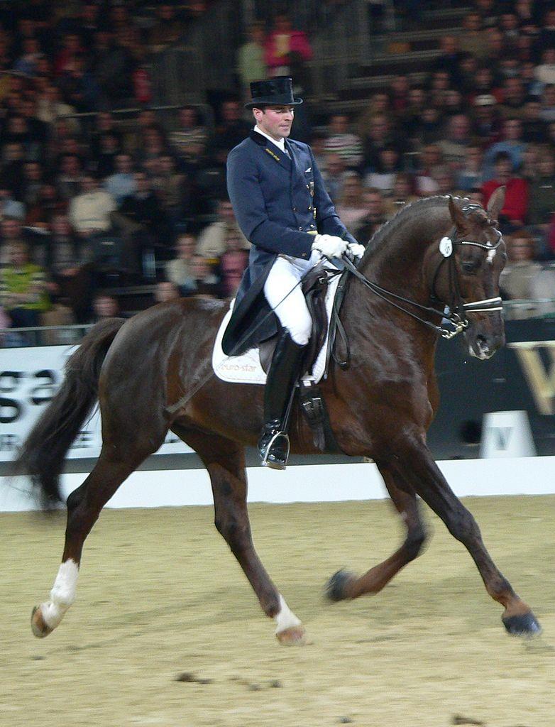What modern competitive equine sport evolved from Cavalry movements and training for the battlefield? What modern competitive equine sport evolved from Cavalry movements and training for the battlefield?