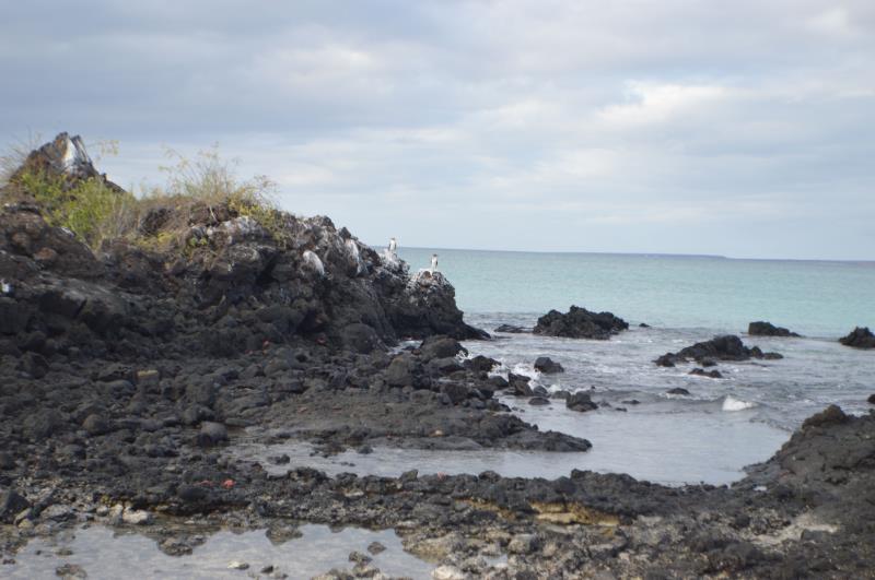 What South American country is the owner of the Galapagos Islands?
