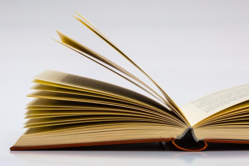 Culture Trivia Question: Which of these novelists was born in Sri Lanka? Culture Trivia Question: Which of these novelists was born in Sri Lanka?