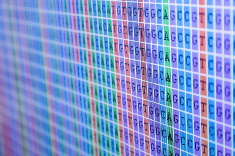 Who led the Human Genome Project when it was announced that 90% of the human genome had been mapped?
