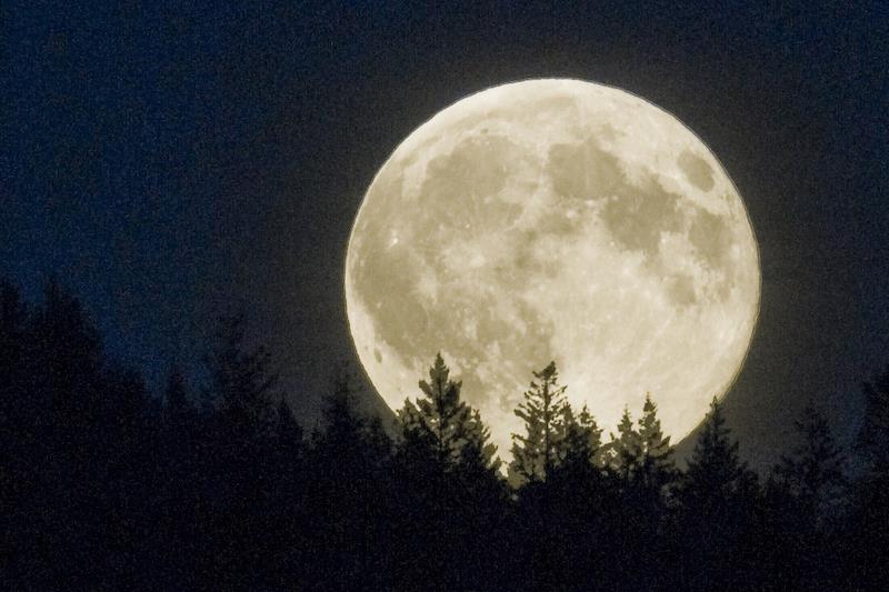 why-does-the-full-moon-look-so-large-trivia-questions-quizzclub