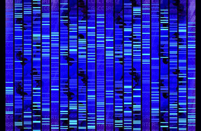 Is it true that DNA testing is used to authenticate expensive foods like caviar and fine wine? Is it true that DNA testing is used to authenticate expensive foods like caviar and fine wine?
