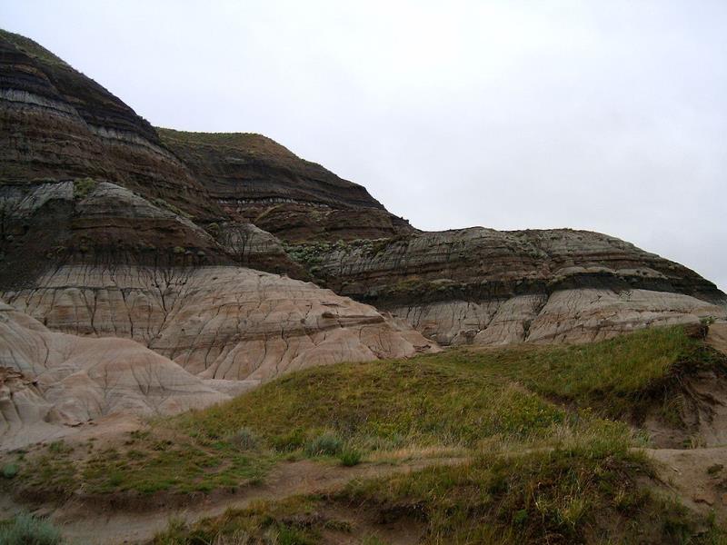 What is the Cretaceous–Paleogene (K–Pg) boundary? What is the Cretaceous–Paleogene (K–Pg) boundary?