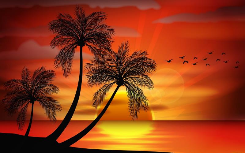 What is the fourth largest island in the world?