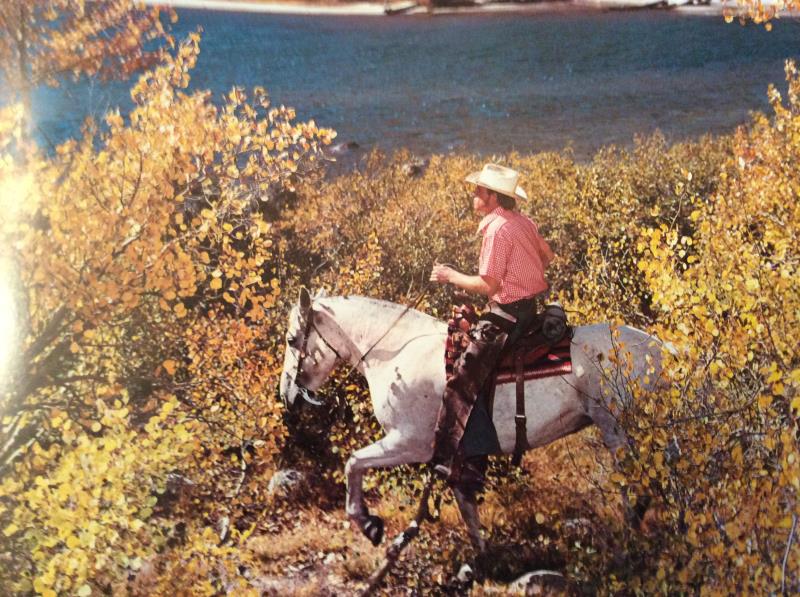 What was the last name given to Tonto's horse in the TV series "The Lone Ranger"?