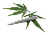 Glaucoma is among one of the most common medical conditions treated with medicinal marijuana. Glaucoma is among one of the most common medical conditions treated with medicinal marijuana.