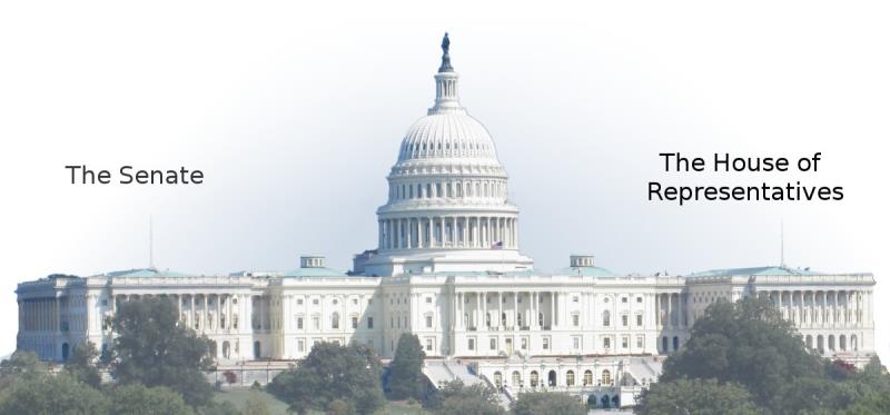 History Trivia Question: The US Congress declared war against Japan on the 8th of December, 1941. What was the vote in the House of Representatives ? History Trivia Question: The US Congress declared war against Japan on the 8th of December, 1941. What was the vote in the House of Representatives ?