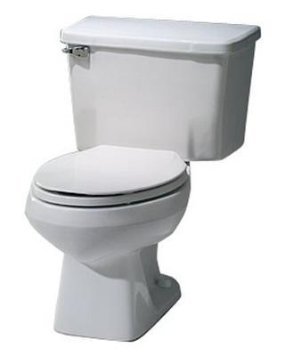 What American film became popular by showing a flushing toilet?