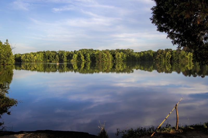 Nature Trivia Question: What is the largest species of freshwater fish in the world? Nature Trivia Question: What is the largest species of freshwater fish in the world?