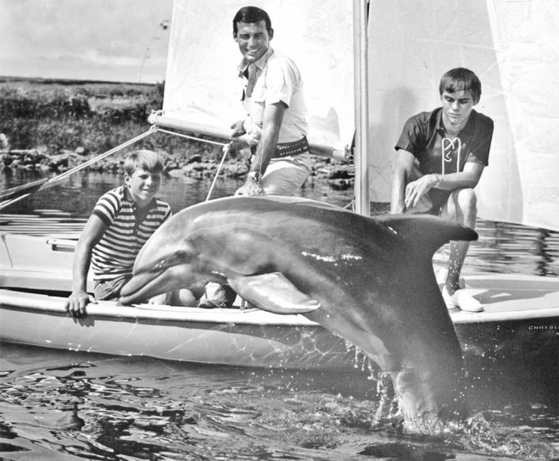 Movies & TV Trivia Question: What was the name of the Chesapeake Bay Retriever appearing in the TV series Flipper? Movies & TV Trivia Question: What was the name of the Chesapeake Bay Retriever appearing in the TV series Flipper?