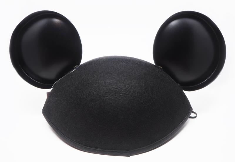 What was the name of the MC of the 1950s Disney television series, The Mickey Mouse Club? What was the name of the MC of the 1950s Disney television series, The Mickey Mouse Club?