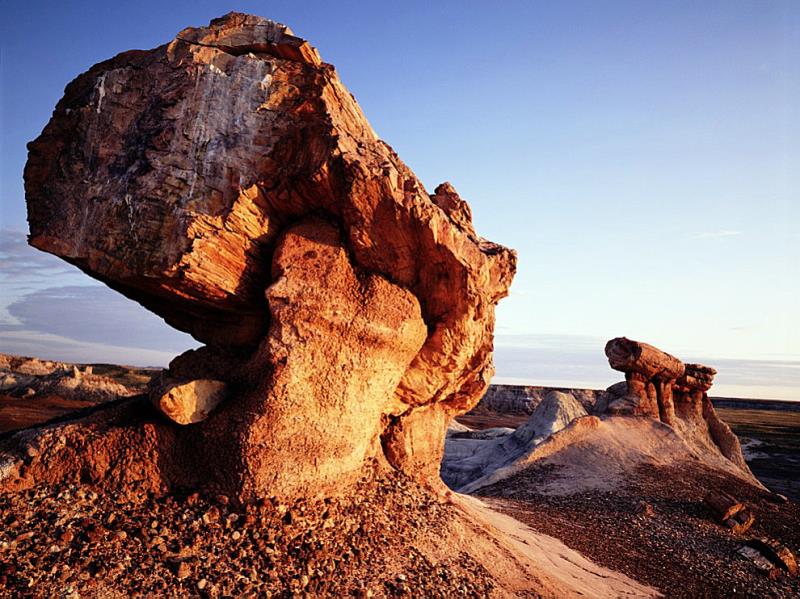 Geography Trivia Question: Where in the U.S. is the Petrified Forest National Park located? Geography Trivia Question: Where in the U.S. is the Petrified Forest National Park located?