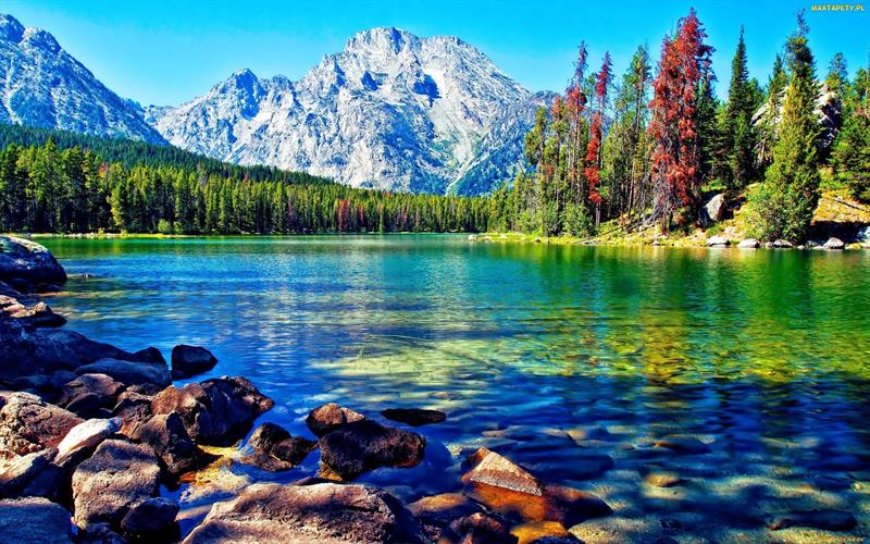 What is generally considered the largest freshwater lake in the world by surface area? What is generally considered the largest freshwater lake in the world by surface area?