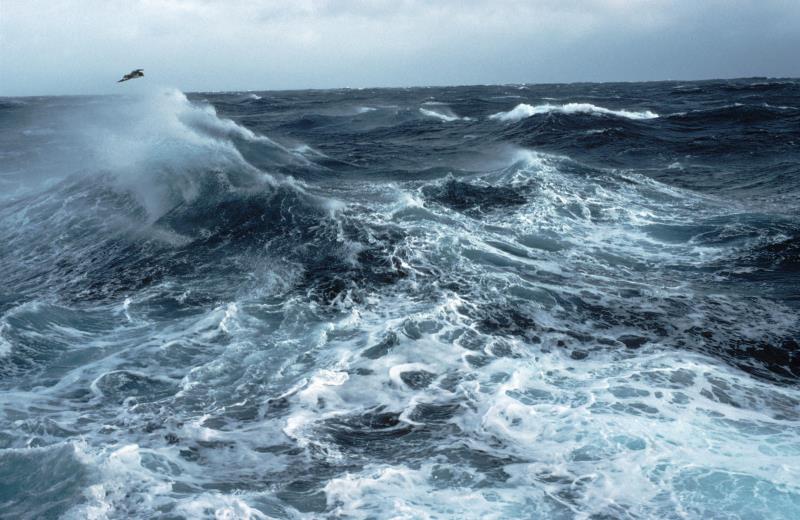 What is the fifth and most recently named ocean?