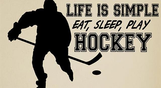 Sport Trivia Question: By seating capacity, what is considered the largest NHL hockey arena? Sport Trivia Question: By seating capacity, what is considered the largest NHL hockey arena?